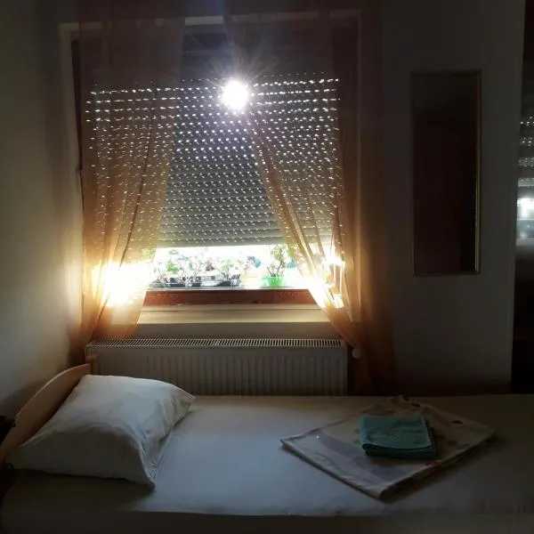 VILA NATALIJA APARTMANI, hotel in Apatin