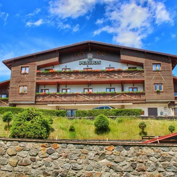 Pension H, hotel v destinaci Jáchymov