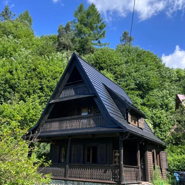 Drewniany Domek BB Nad Rzeką, hotel in Powroźnik