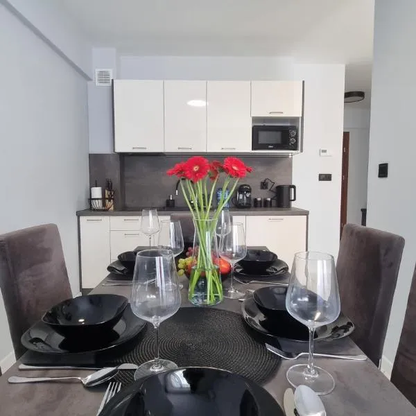 Katowice Apartamenty Hetmańska 4, hotel v Katovicích
