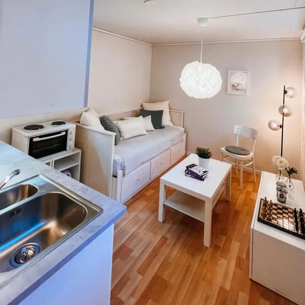 Bright and cozy studio - newly renovated bathroom and free parking, hotel en Høiset