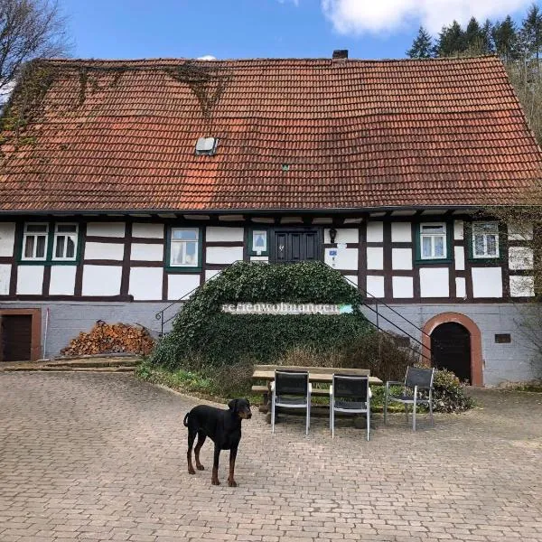 Ferienwohnungen Hanst, hotel in Mossautal