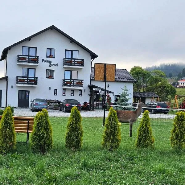 Pensiunea Poiana Dornei, hotel v destinaci Vatra Dornei