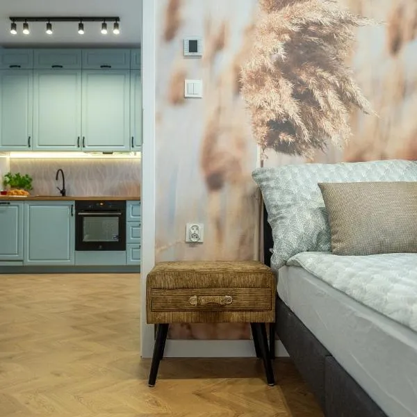 Boho Apartment Grunwaldzka 25, Hotel in Bydgoszcz