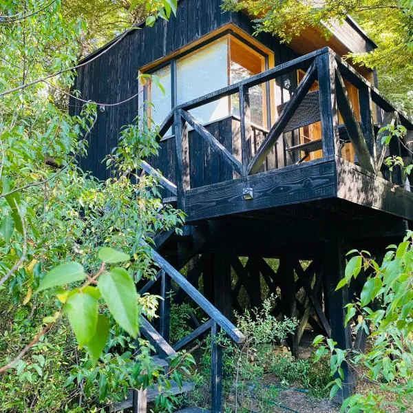 Lodge Punahue, hotel di Choshuenco