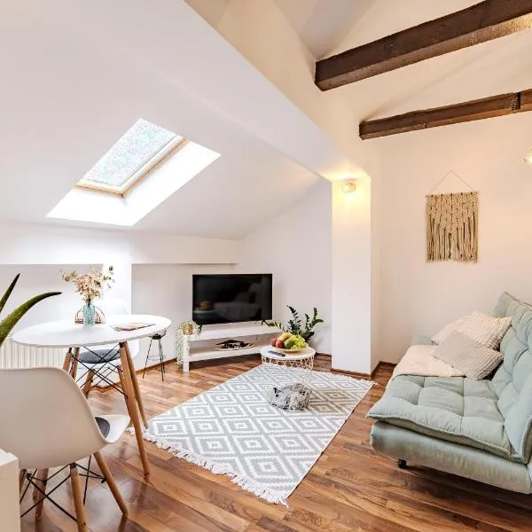 Central Pet friendly - Savoya Nordic Loft - By OpenHouse apartments, hotel v Temišvari