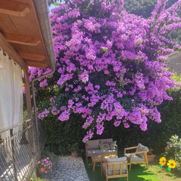 La Bouganville e Il Gelsomino, hotel in Pietrasanta