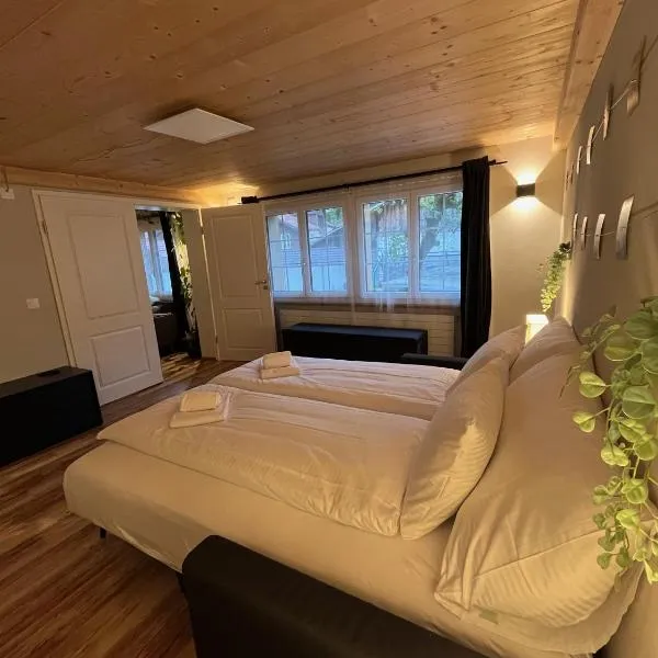 Mountain Homes, hotel v destinaci Bönigen