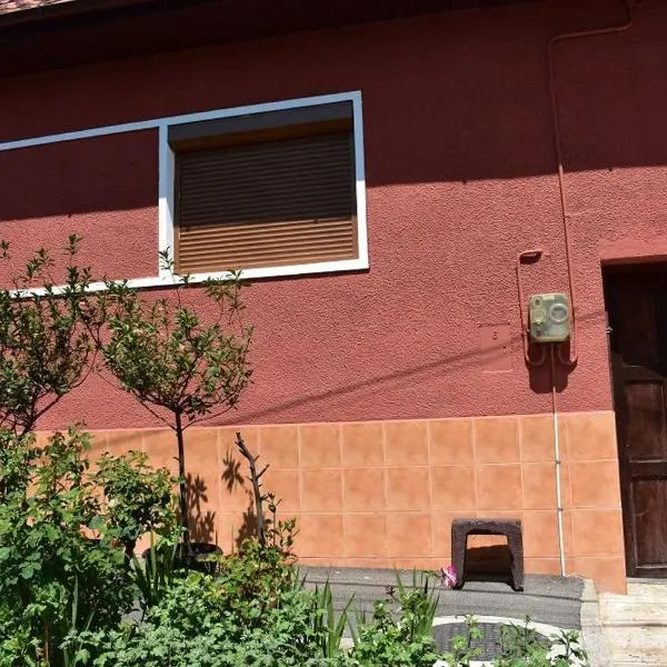 Casa La Bunica, hotel in Orşova