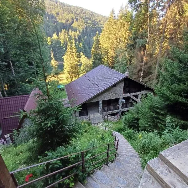 Cabana Zimbru Transfagarasan, hotel v destinaci Arefu