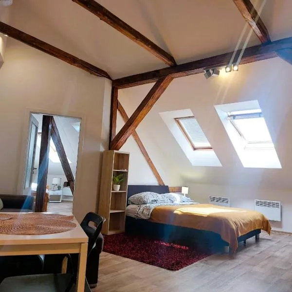 Spacious Historic Attic Loft in City Center 62 m, hotel a Hradec Králové