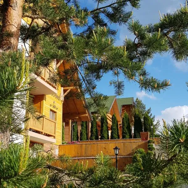 Villa Natural Wood, hotel in Zlatibor