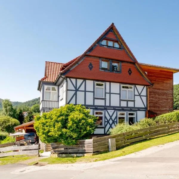 Eggert Alm Apartments, Hotel in Ilsenburg
