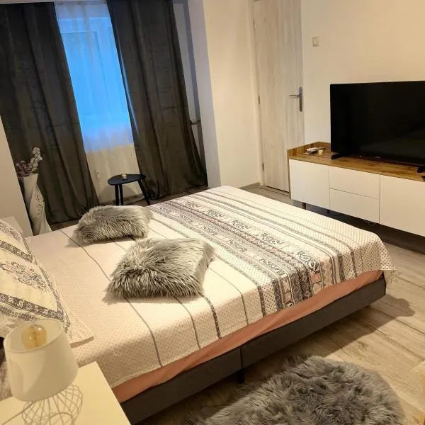 Apartament de lux, hotel a Craiova