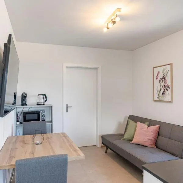 Rothorn Studio - Aare Jungfrau AG, hotel v destinaci Spiez