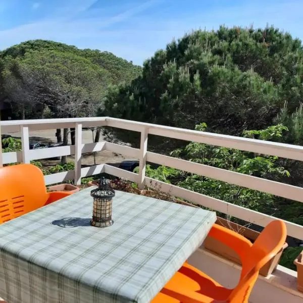 Pine-hugged beach apartment, hotel in Lalzit Bay