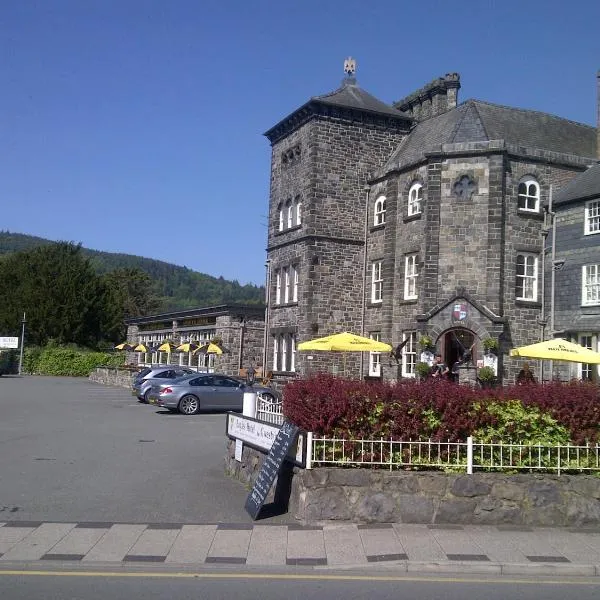 The Eagles Hotel, hotel in Llangerniew