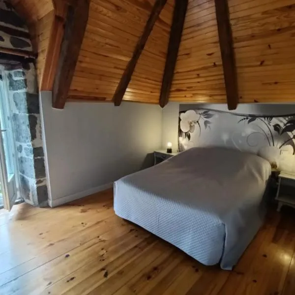 Gîte 4 personnes dans le Cantal Animaux bienvenus, hotel in Lascelle
