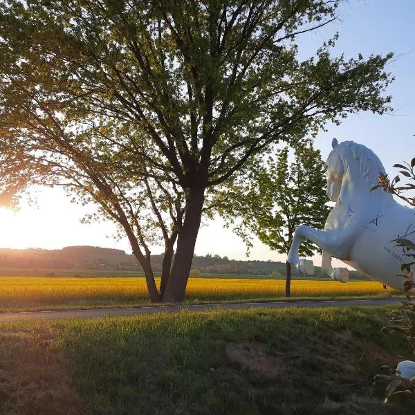 Reiterhof Schmidt, Gaststätte & Pension, hotel en Golk