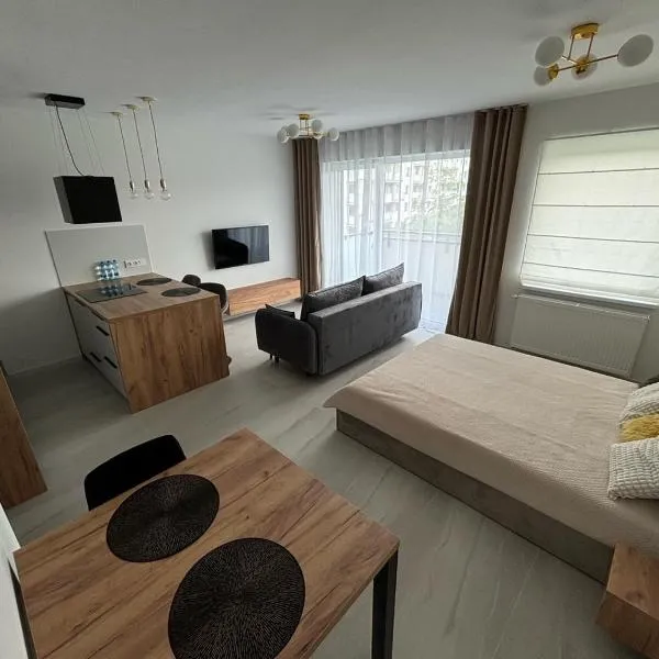 Kima Apartament Pijarska, hotel v Katovicah
