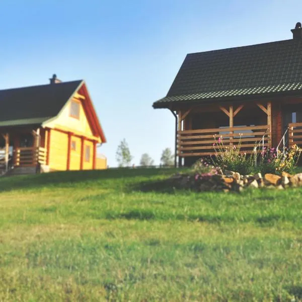 Domki nad Soliną: Olchowiec şehrinde bir otel