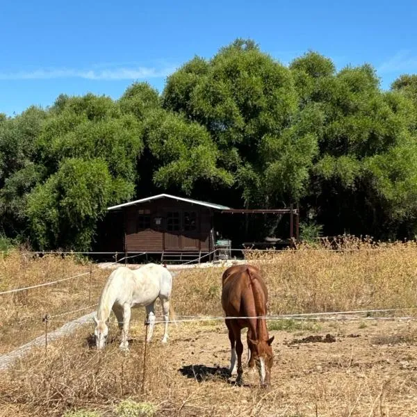 Cabaña rústica en un rancho con caballos, Prado del Rey, Andalucía, hotel v destinaci Prado del Rey