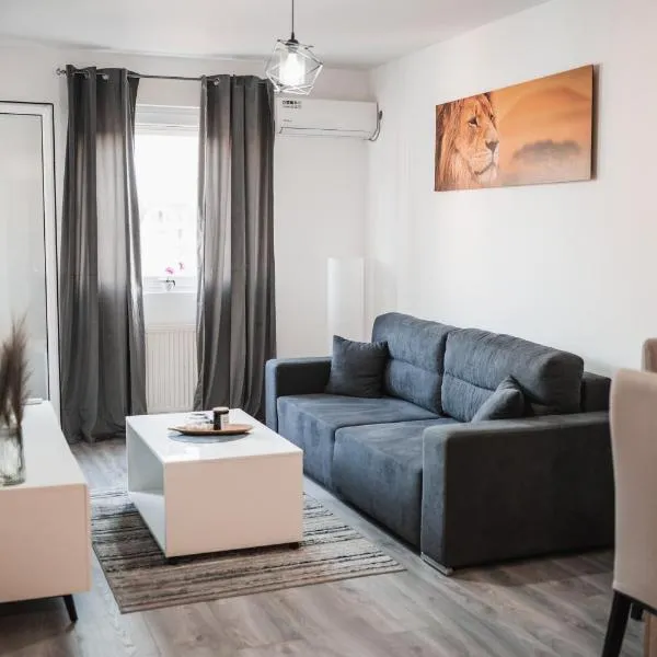 Apartman Centar, hotel in Doboj