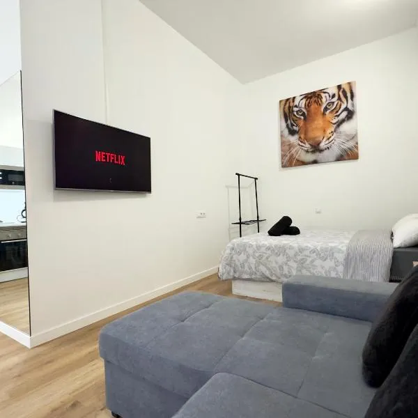 Loft Deluxe Aeropuerto, khách sạn ở Ojos de Garza