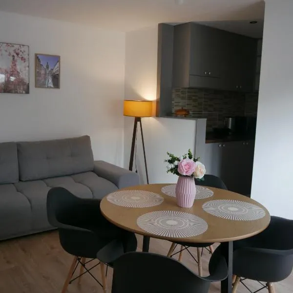 Free Garage in the Center-Delicia 4 Studio!, hotel in Sibiu