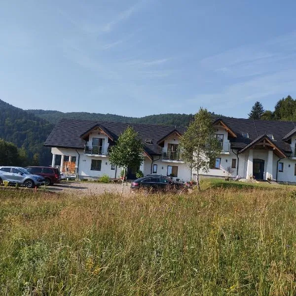 ELFF -Apartamenty i pokoje gościnne, hotel in Cisna