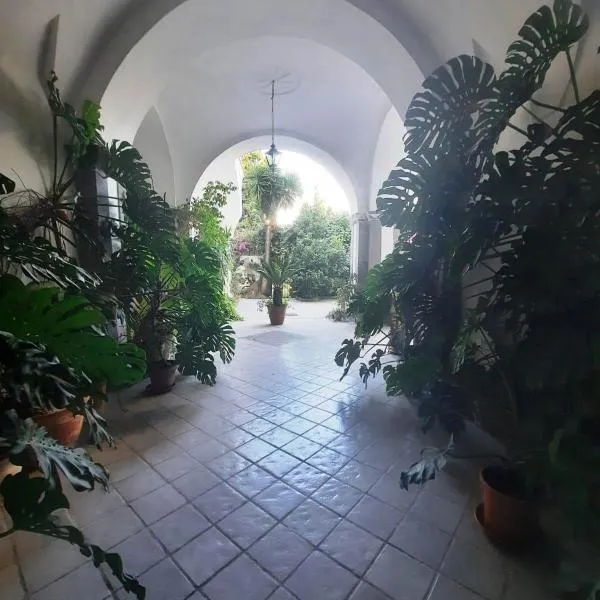La casa delle Camelie, hotel v destinaci Meta