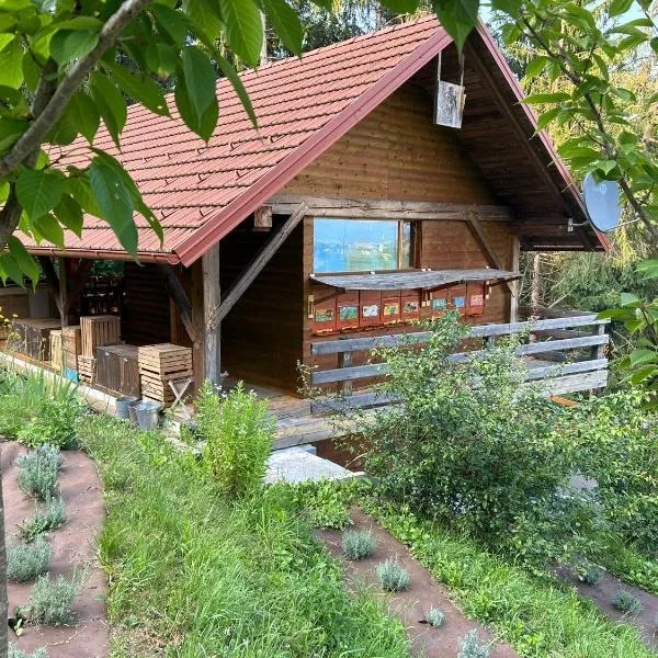 The BeeHouse, Nature stay, hotel v destinaci Šempeter v Savinjski Dolini