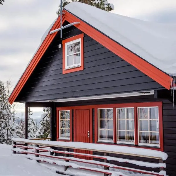 Linnéan 2, hotel v destinaci Lofsdalen
