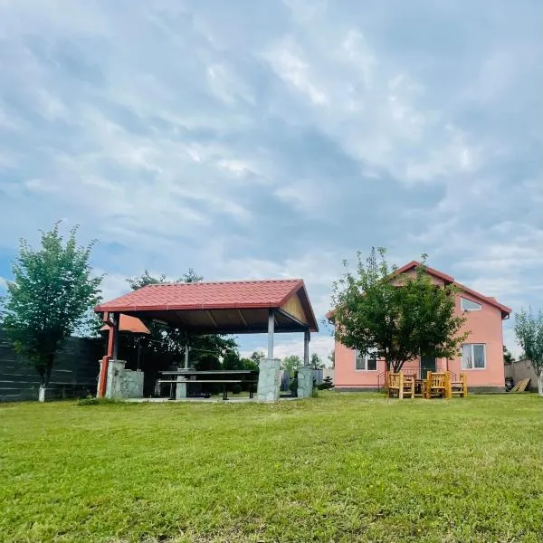 Bazaleti lake home, hotel v destinaci Bazalet'i