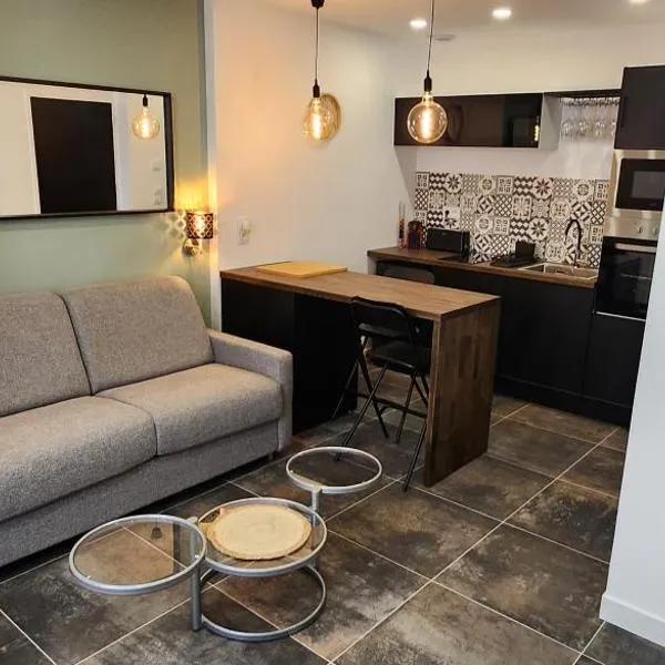 "Le duo" studio cosy au cœur d'Epernay, hotel in Épernay