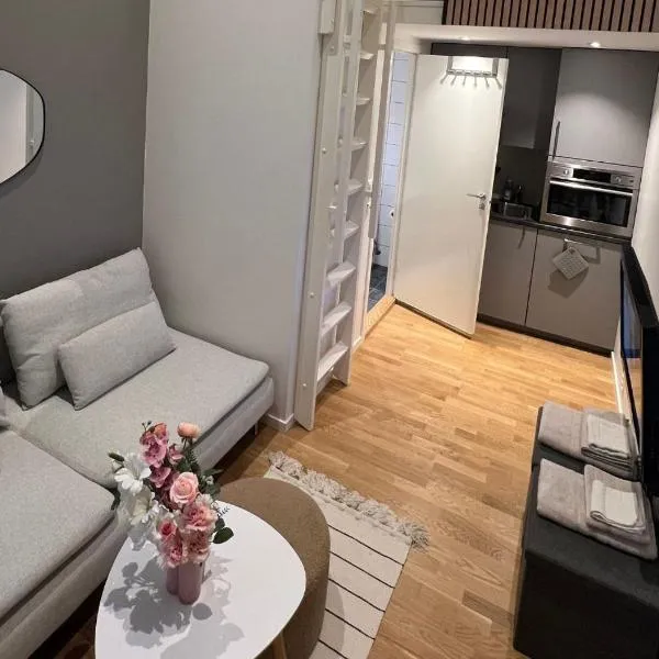 Studio apartment, hotel di Sogndal