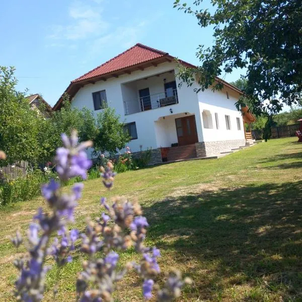 CASA LAVINIA CRASNA GORJ、Crasnaのホテル