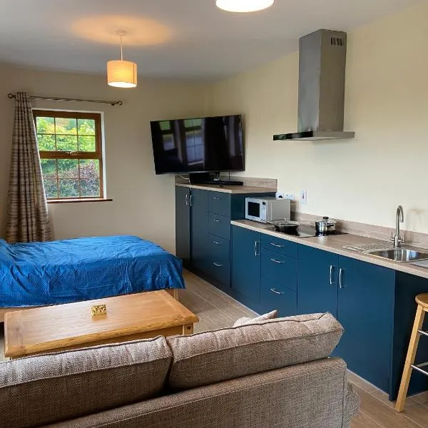 Twin Lakes Studio Apt, hotel v destinaci Carrickmacross