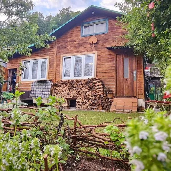 Lazy River Hut, hotell sihtkohas Horní Mokropsy