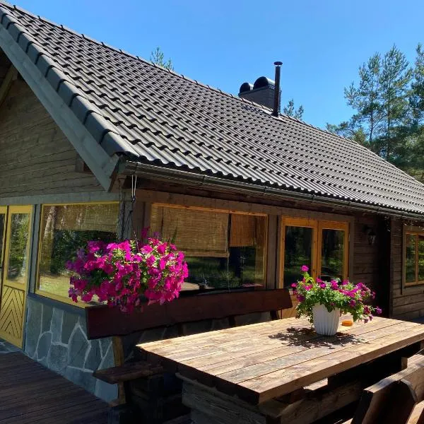 Kuldvitsa puhkemaja saunaga, hotel in Upa