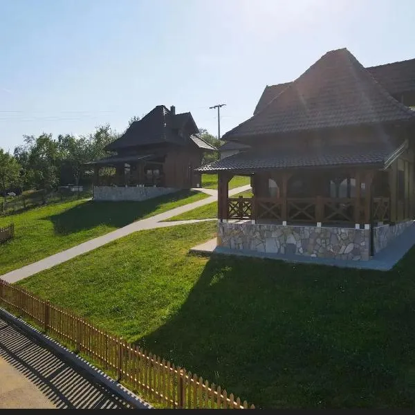 Seoski turizam Domaćinstvo Tošanić, hotel v destinaci Žigale