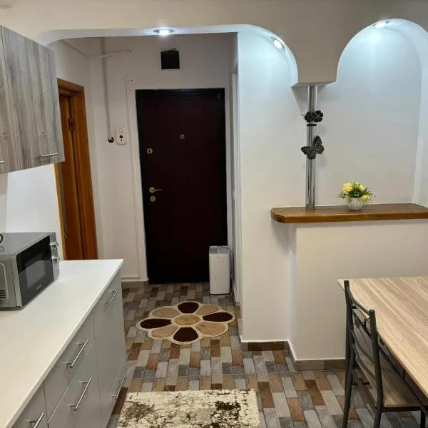 David și Daria, hotel v destinácii Vaslui