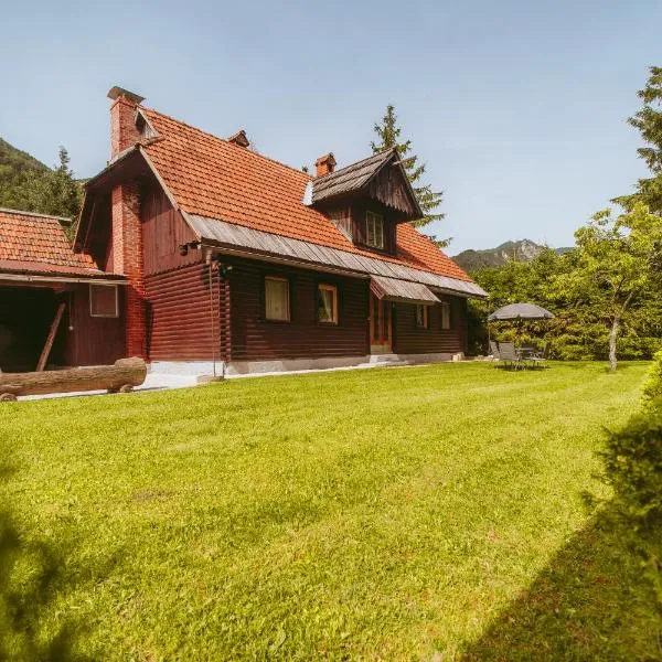 Cozy Alpine House, hotel v destinaci Gozd Martuljek