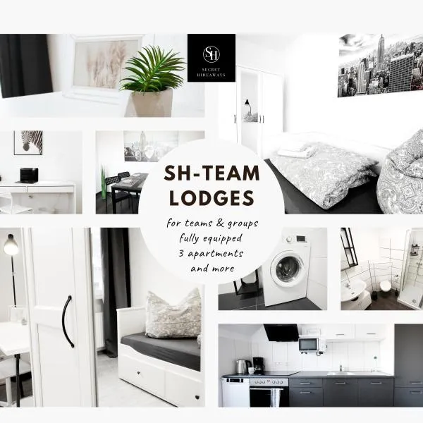 SH Team Lodges 4 Apartments für max 19 Personen l Monteure l Messe l Business、デュースブルクのホテル