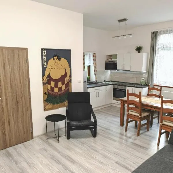 Apartmán U Suma, hotel in Rýmařov