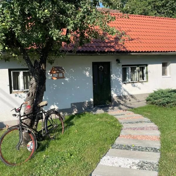 Léda Guesthouse 1 Szentegyháza, hotel in Vlăhiţa