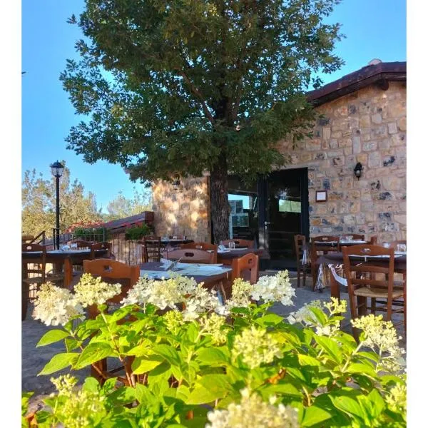 Il Sogno di Teresa, hotel v destinaci Camerota