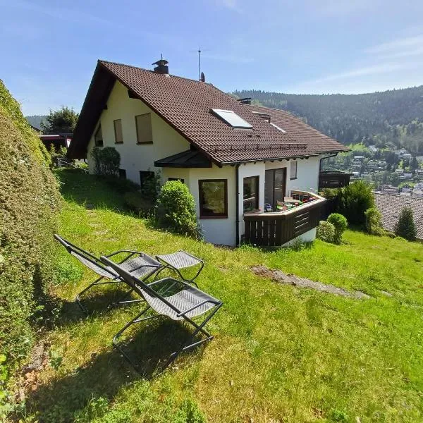 Ferienwohnung Panoramablick, Hotel in Bad Wildbad