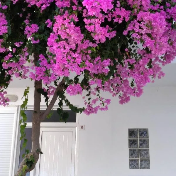 Maria Studios and Apartments: Haraki şehrinde bir otel