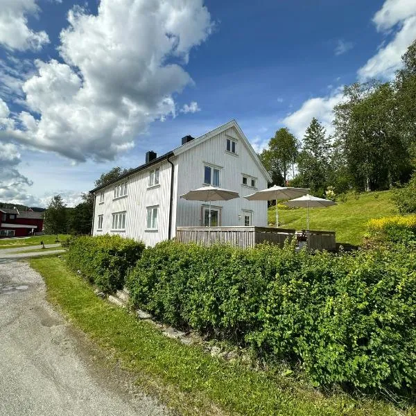 Leilighet midt i Høylandet sentrum, hotel v destinaci Hoylandet